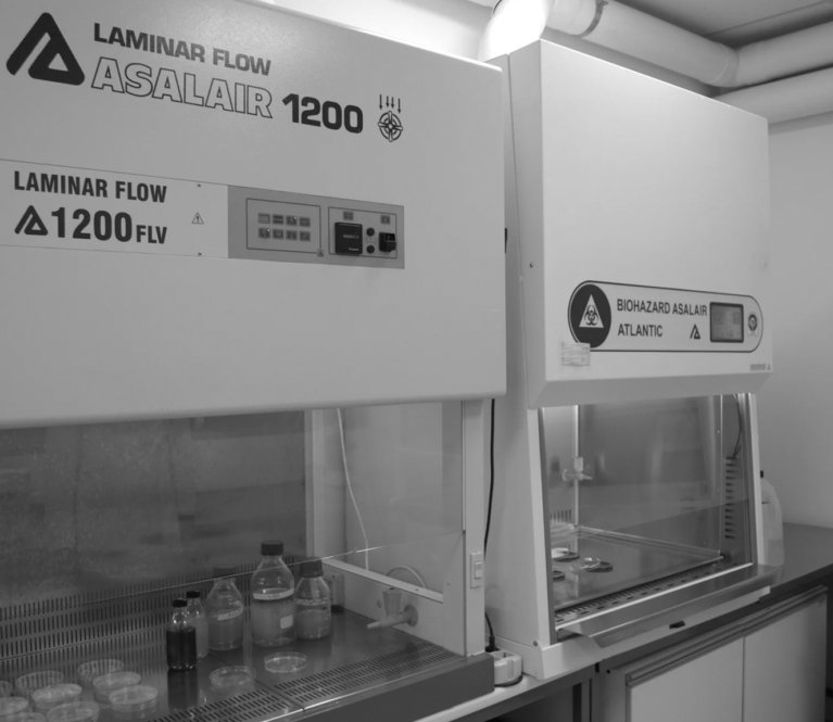 Area microbiologia — Pollution SRL